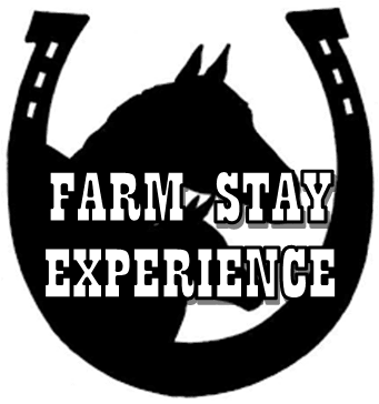 B&B Farm Stay Experience